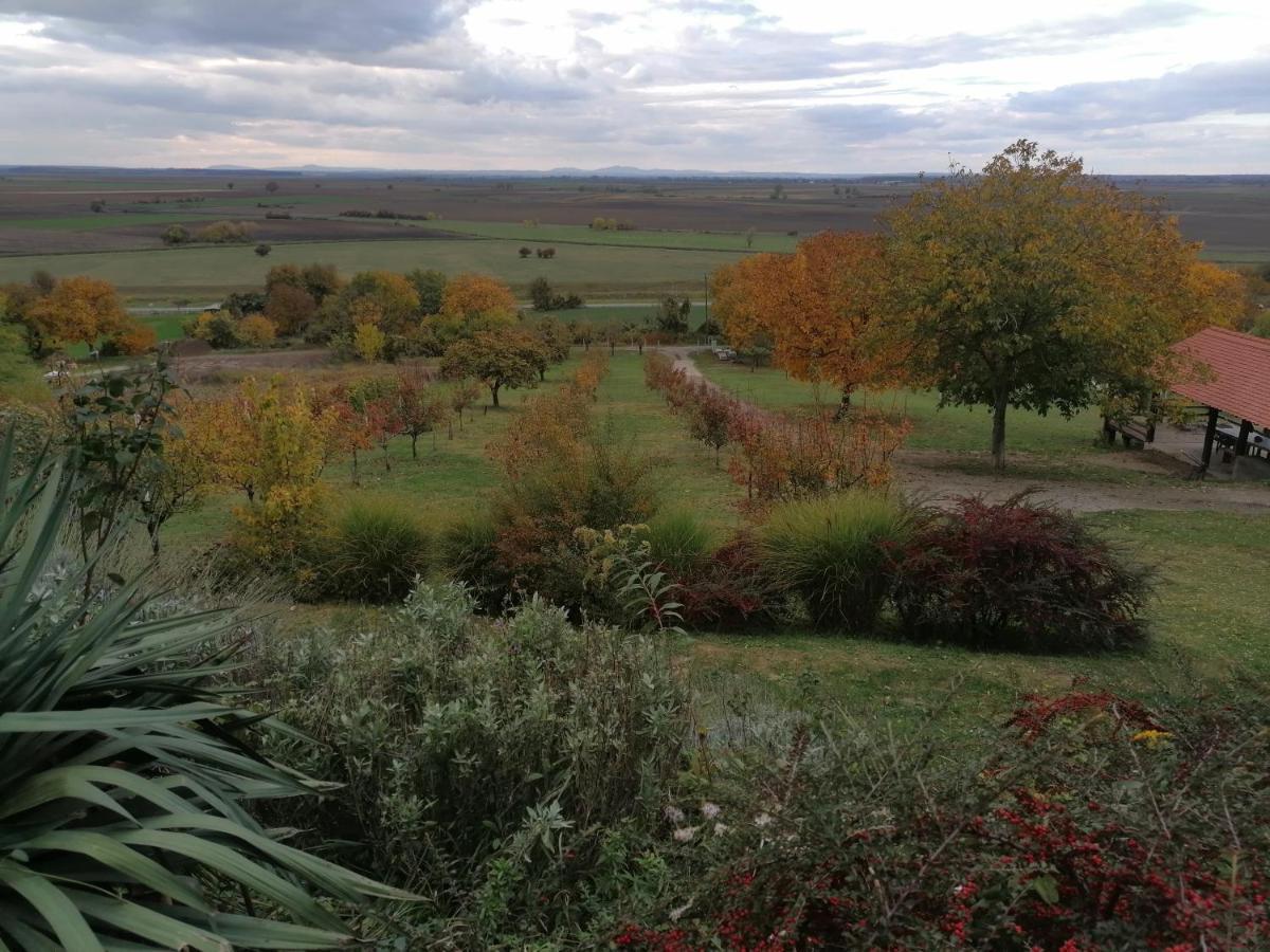 Baranja Black Hill'S Gajic Exterior foto